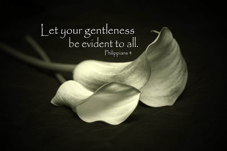 Image result for gentleness