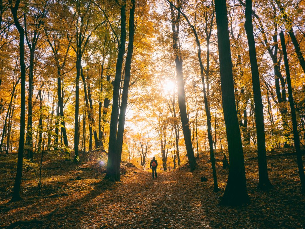 The secret of Personal Growth